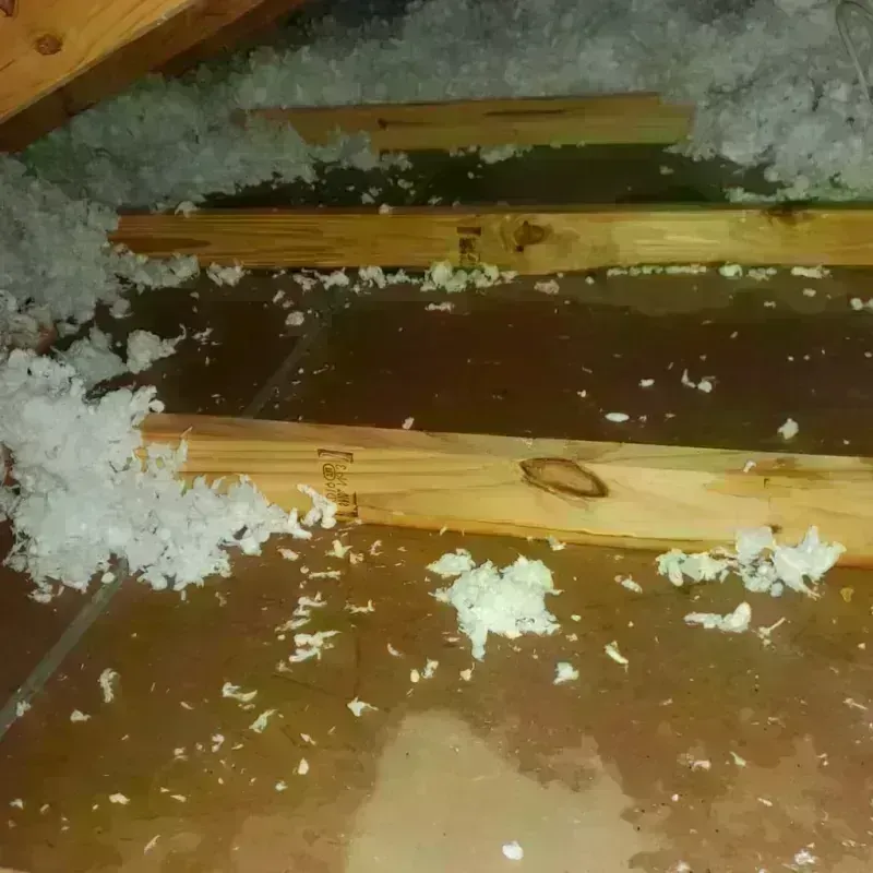 Attic Water Damage in Wilson, OK