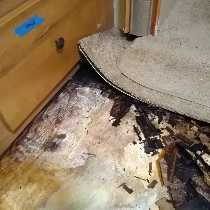 Wood Floor Water Damage in Wilson, OK